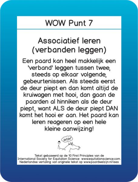 WOW 7