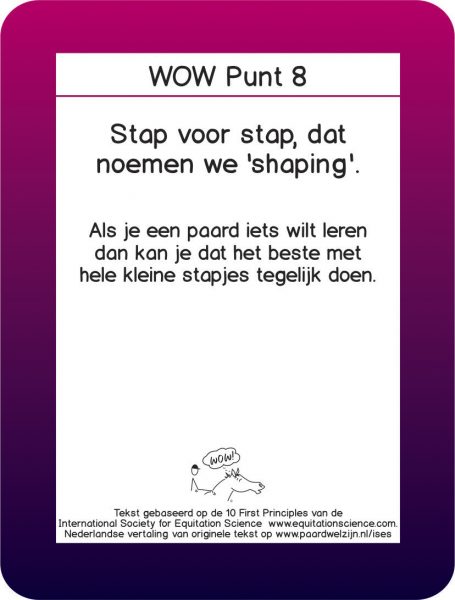 WOW 8