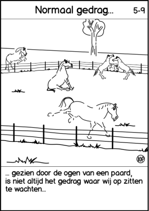 wow 5_9