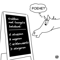 wow kids 14 jaar